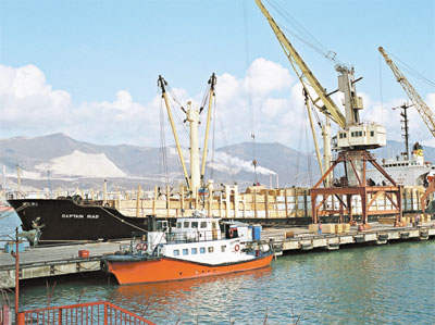 Международные перевозки через порты Северного Кавказа выросли на 3,2 процента