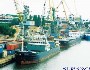 Объемы перевозок через порты Юга России будут расти
