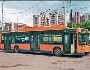 Александр Каледин: "Троллейбусный транспорт может быть эффективным"